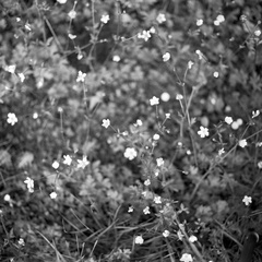 20250501_0055 - 20250501_0060