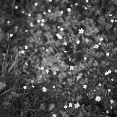 20250501_0061 - 20250501_0066