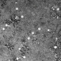 20250501_0079 - 20250501_0084