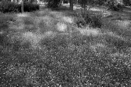 20250507_0025 - 20250507_0028