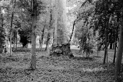 20250507_0037 - 20250507_0040