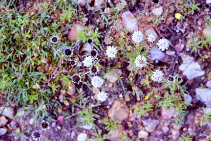 20250602_0030 - 20250602_0033_fused