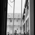 20250903_0039_pano
