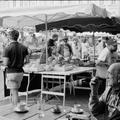 20250903_0135_pano_01