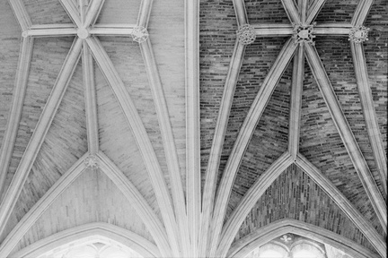 20250903_0083_pano_01