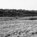 20250904_0074_pano
