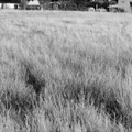 20250904_0086_pano