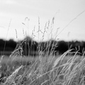 20250904_0078_pano
