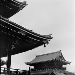 20260302_0016_pano