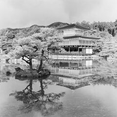 20260302_0063_pano