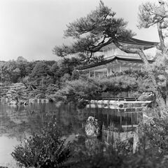 20260302_0075_pano