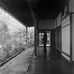 20260302_0096_pano