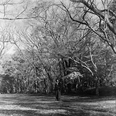 20260302_0112_pano_01