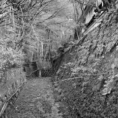 20260302_0179_pano
